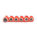 Totoro Candylabs