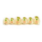 Peach Candylabs